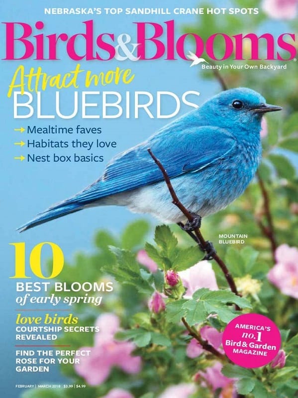 Birds & Blooms Magazine