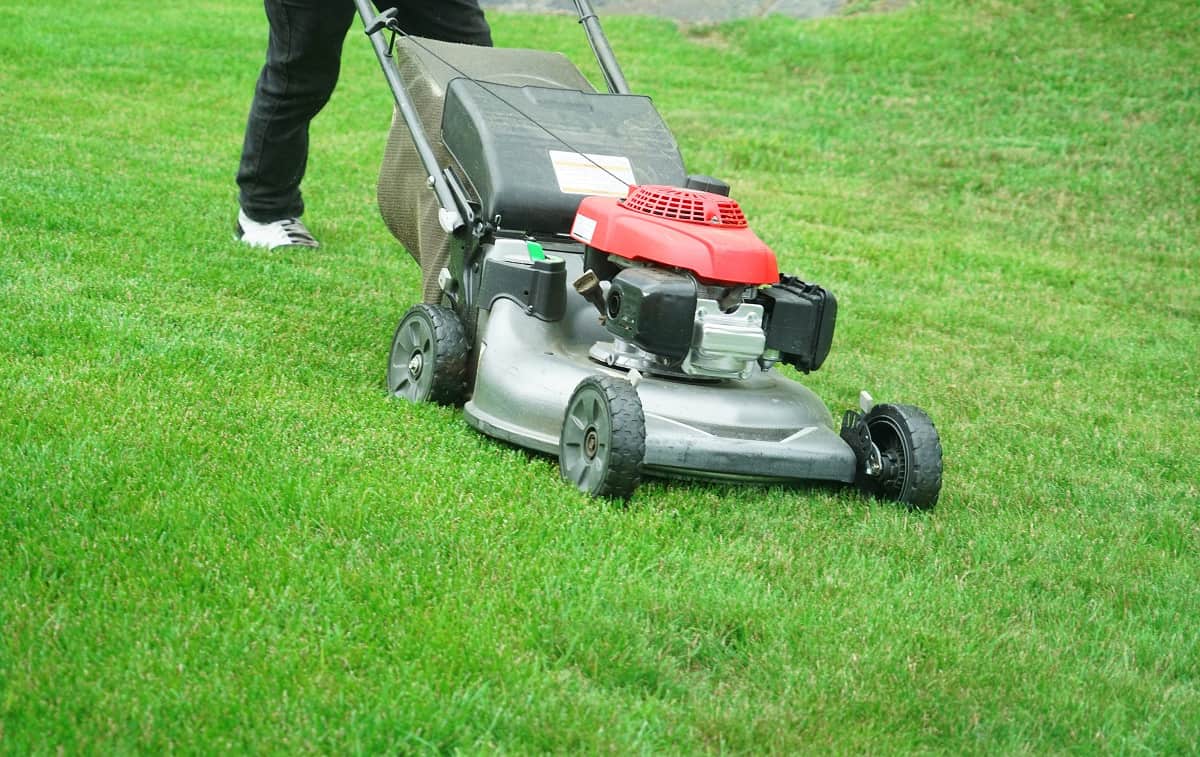 Worst Lawn Mower Brands to Avoid