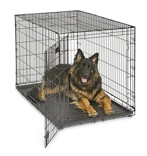 MidWest iCrate metal dog crate for extra large dogs with divider panel