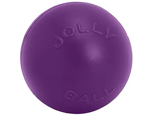 Jolly Pets Push-n-Play Ball for dogs