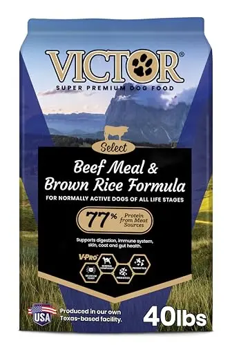 VICTOR beef meal and brown rice dog food