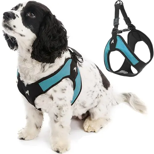 Gooby escape free easy fit step-in dog harness