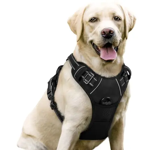 rabbitgoo Dog Harness No Pull in black