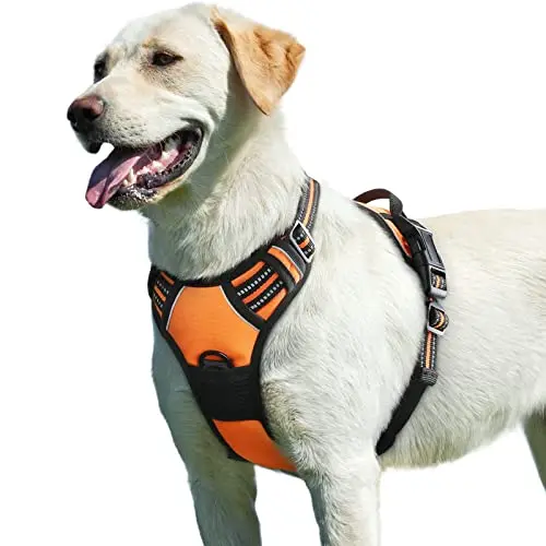 Eagloo Dog Harness for Large Dogs in orange