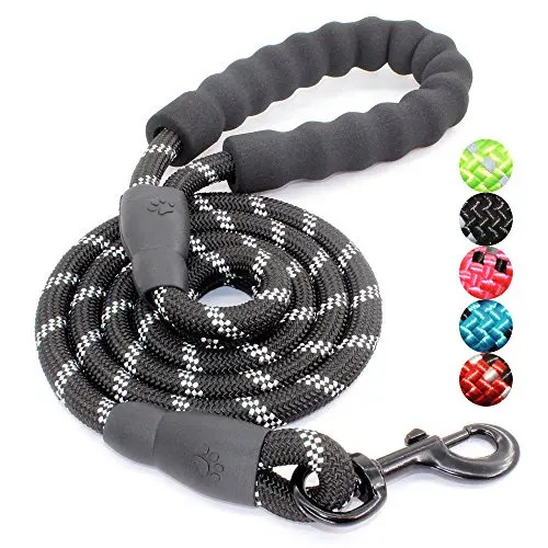 BAAPET reflective dog leash with comfortable padded handle