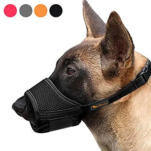 HEELE soft nylon dog muzzle on a large breed dog