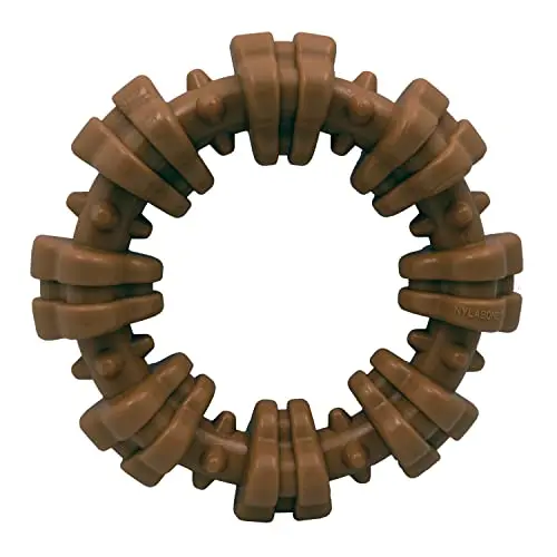 Nylabone textured ring chew toy for small breed dogs