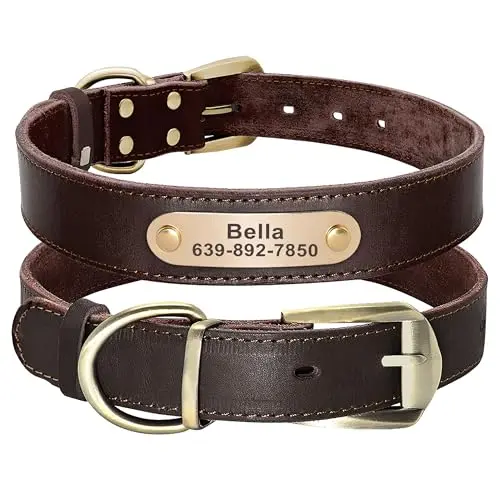 Didog genuine leather dog collar with engraved nameplate