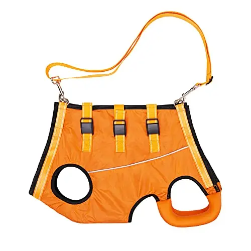 ACDOK Lightweight Dog Lift Harness in orange on a small dog