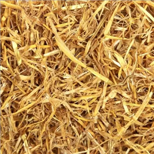Home and Country USA premium quality garden straw for cat bedding