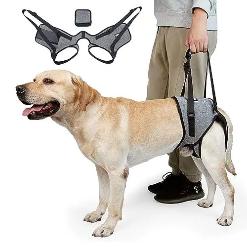 CNEO Dog Lift Harness in grey with urination groove