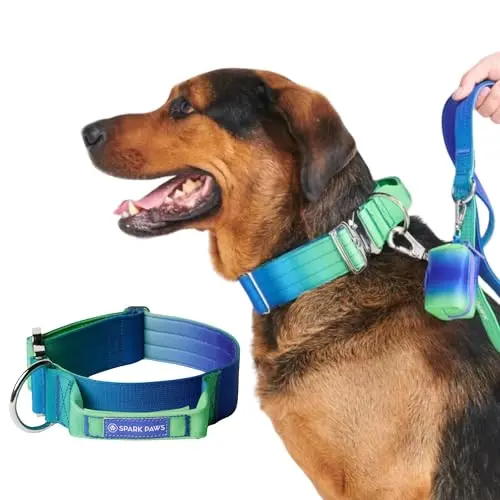 Spark Paws tactical dog collar in lime wave color with quick-release buckle