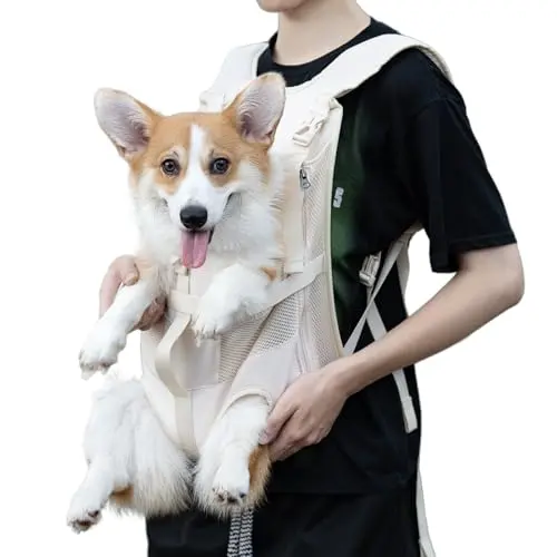 Wakytu beige front carrier with legs-out design for small dogs