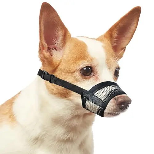 Evollax soft air mesh dog muzzle on a small breed dog