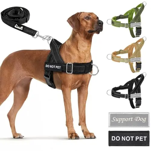 SlowTon No Pull Dog Harness in black with leash