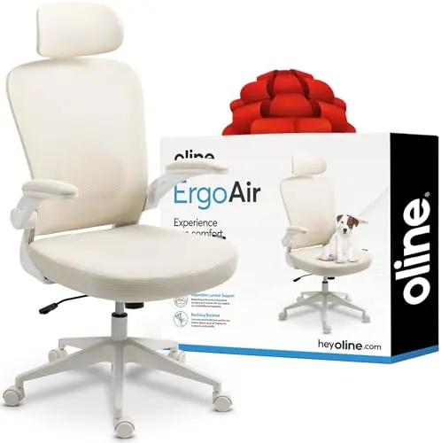 Oline ErgoAir ergonomic office chair with mesh back and adjustable features