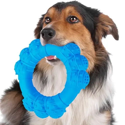 DAOZIJI blue ring dog chew toy with textured surface
