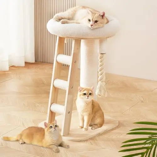 HEASON modern cat tree with ladder and scratching posts