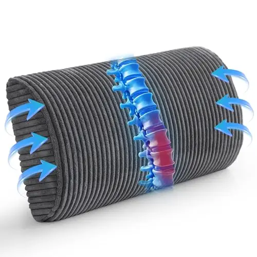 HIGOGOGO D-shape lumbar support pillow with gel memory foam for recliner