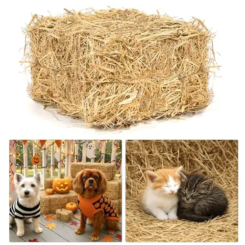 BobbleT decorative natural wheat straw bale for cat bedding